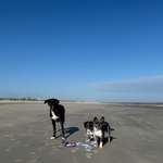 Ersteller:in Anni Profilbild