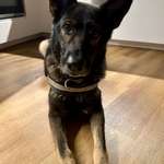 Ersteller:in Kiwi Profilbild