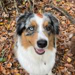 Ersteller:in Jozy Profilbild