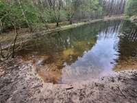 Hundeauslaufgebiet-Schwarmer Fuhren / Jerusalemer Wäldchen-Bild