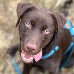 Ersteller:in Jos Profilbild