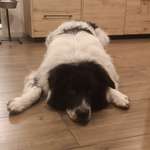 Ersteller:in Jessica Profilbild