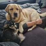 Ersteller:in Jessica Profilbild