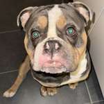 Ersteller:in Gini Profilbild