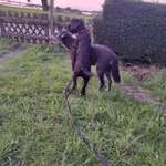 Ersteller:in Achim Profilbild