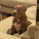 Ersteller:in Enes Profilbild