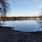 Hundeauslaufgebiet-Otto Maigler See-Bild