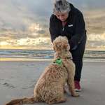 Ersteller:in Katja Profilbild