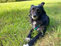 Silvester am Flughafen Köln/Bonn-Beitrag-Bild