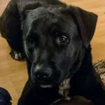 Ersteller:in Herbert Profilbild