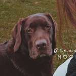 Ersteller:in Celine Profilbild