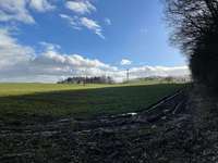 Hundeauslaufgebiet-Weinberg Flieden Scheuerplatz-Bild