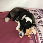 Ersteller:in Silvia Profilbild