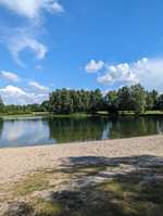 Hundeauslaufgebiet-Hundestrand Kronensee-Bild