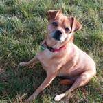 Ersteller:in Petra Profilbild