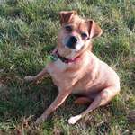 Ersteller:in P Profilbild