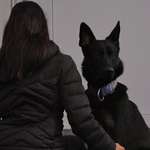 Ersteller:in Daka Profilbild