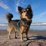 Ersteller:in Marlene Profilbild