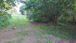 Hundeauslaufgebiet-Hundewiese Lemwerder-Bild