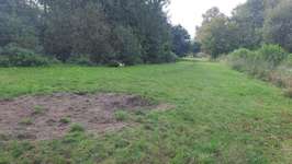 Hundeauslaufgebiet-Hundewiese Lemwerder-Bild