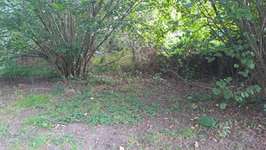 Hundeauslaufgebiet-Hundewiese Lemwerder-Bild