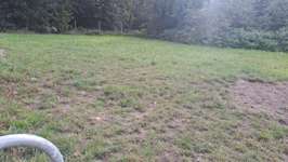 Hundeauslaufgebiet-Hundewiese Lemwerder-Bild