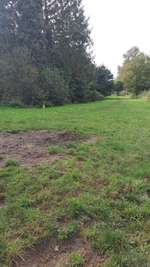 Hundeauslaufgebiet-Hundewiese Lemwerder-Bild