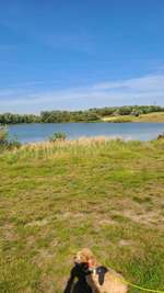 Hundeauslaufgebiet-Ritzenbüttler Sand Lemwerder-Bild