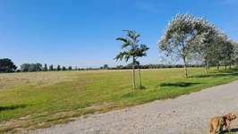 Hundeauslaufgebiet-Ritzenbüttler Sand Lemwerder-Bild