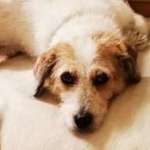 Ersteller:in Caro Profilbild