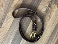 Lederhalsband mit Leine-Beitrag-Bild