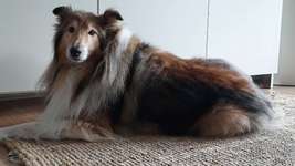 Wellness für Seniorin-Beitrag-Bild