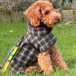 Ersteller:in Julia Profilbild