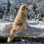 Ersteller:in Sandra Profilbild