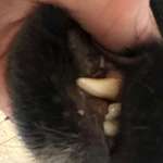 2te Meinung / Rat gesucht-Beitrag-Bild