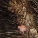 2te Meinung / Rat gesucht-Beitrag-Bild