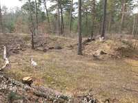 Hundeauslaufgebiet-Hundeauslaufplatz/Park Fürstenwalde /Spree-Bild