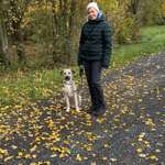 Ersteller:in Jolanta Profilbild