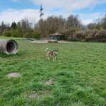 Hundeauslaufgebiet-Bergkamen Werner Straße-Bild