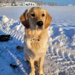 Ersteller:in J Profilbild