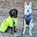 Ersteller:in Annika Profilbild