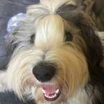 Ersteller:in Melina Profilbild