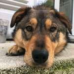 Ersteller:in Andre Profilbild