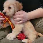 Ersteller:in Richard Profilbild