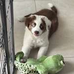 Ersteller:in Lena Profilbild