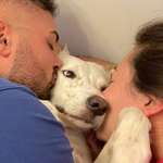 Ersteller:in Toffy Profilbild