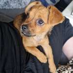 Ersteller:in Katja Profilbild