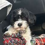 Ersteller:in Janett Profilbild