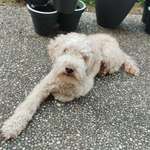 Ersteller:in Maik Profilbild