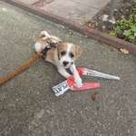 Ersteller:in Jasmin Profilbild